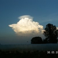Uoginių augalų medelynas